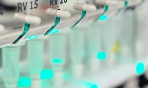 Die Biotechfirma Bright Peak Therapeutics kann Proteine im Labor chemisch herstellen. Nun will das ETH Spin-off ein synthetisches Protein zur Krebsbehandlung in die Klinik bringen.