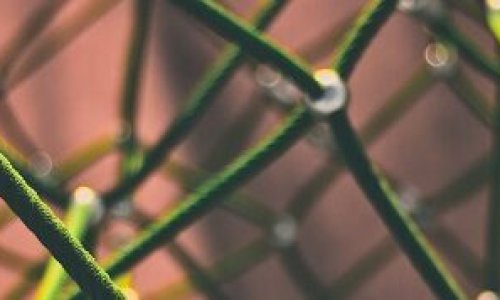 d35f9e_97c54d54facd4b2285caf5cdb4c94f6dmv2-1-e1668677967325