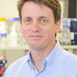 Professor am für Molekulare Systembiologie, D-BIOL.